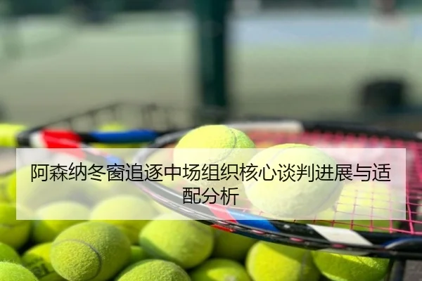 阿森纳冬窗追逐中场组织核心谈判进展与适配分析